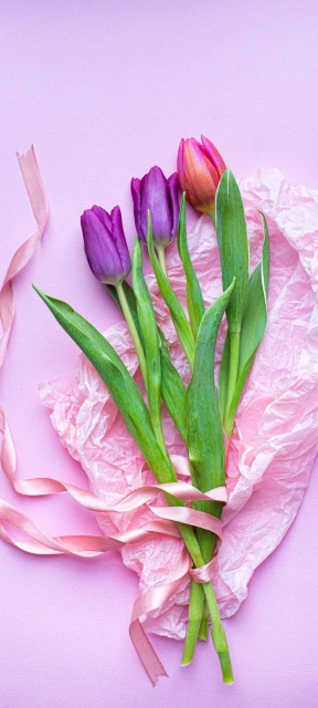 Tulip Bouquet with Ribbon