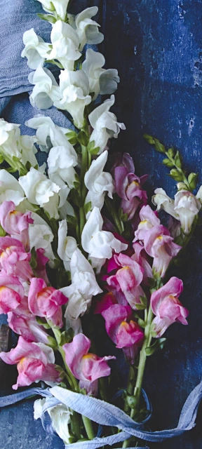 White and Pink Flowers