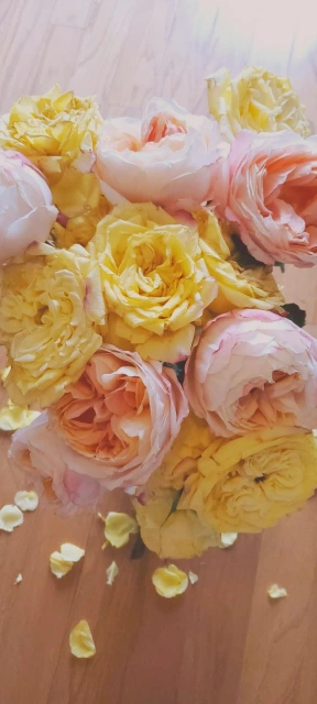 Yellow and Pink Roses