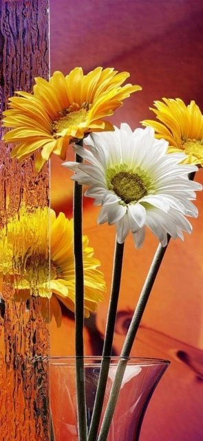 Yellow and White Flowers in Vase