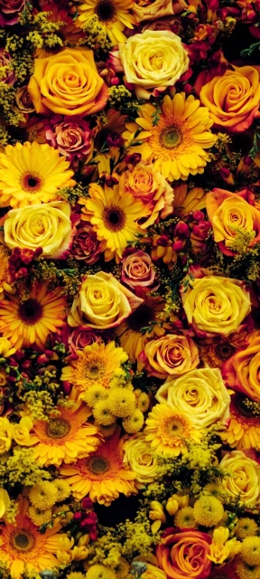 Yellow Flower Wallpaper