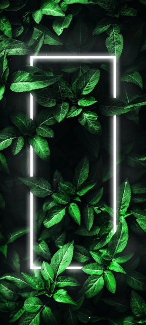 Neon Frame Green Leaves Wallpaper