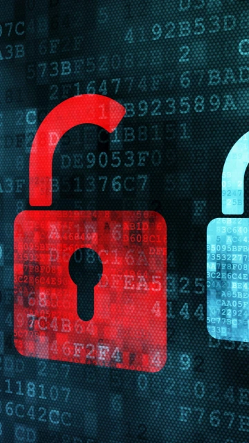 Red and Blue Padlock Icons