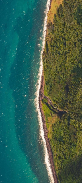 Aerial View of Coastline and Ocean 1
