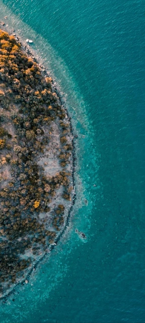 Aerial View of Forested Coastline