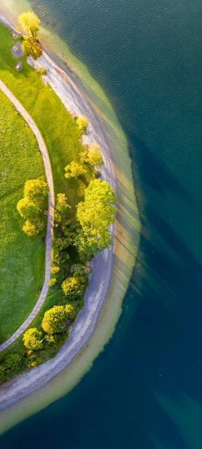 Aerial View of Lake Shore