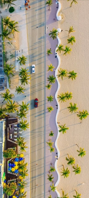 Aerial View of Palm Lined Beach Road