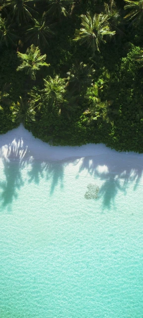 Aerial View of Tropical Beach 1