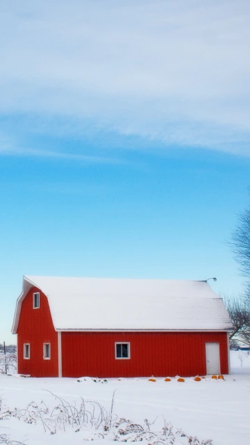 Barn Winter Sky Tree