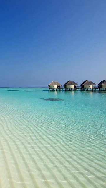 Beach Ocean Sand Palm Trees Bungalows