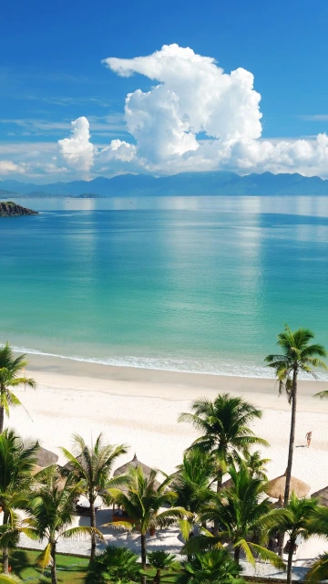 Beach Tropics Sea Sand Summer