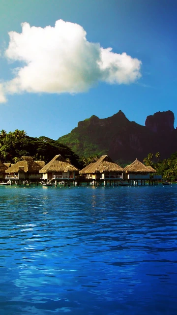 Bungalows Palm Trees Tropical