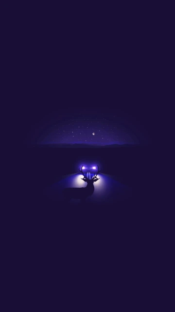 Deer Under Starry Sky