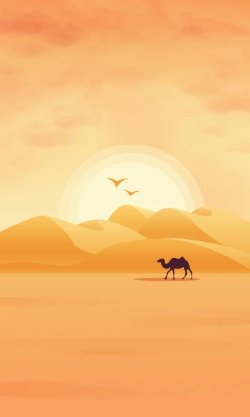 Desert Camel Sunset