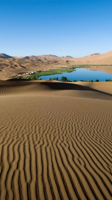 Desert Sand Patterns Lines Oasis Lake Coast Vegetation