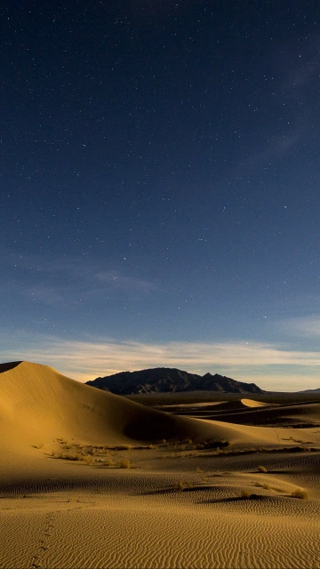 Desert Sands Dunes