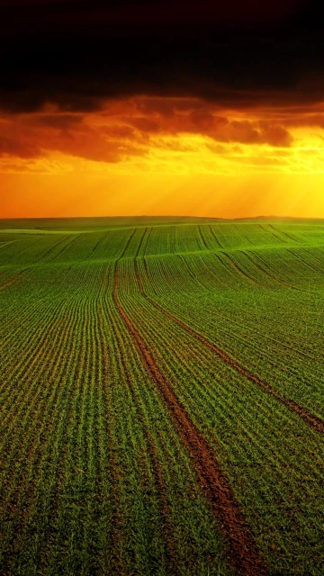 Field Clouds Horizon