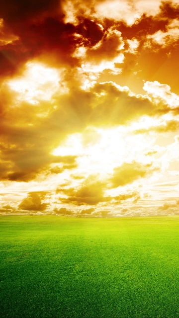 Field Clouds Sky