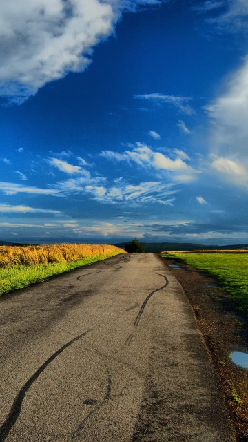 Field Road Puddles Landscape
