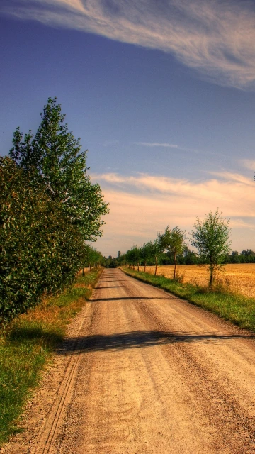 Field Road Trees Landscape