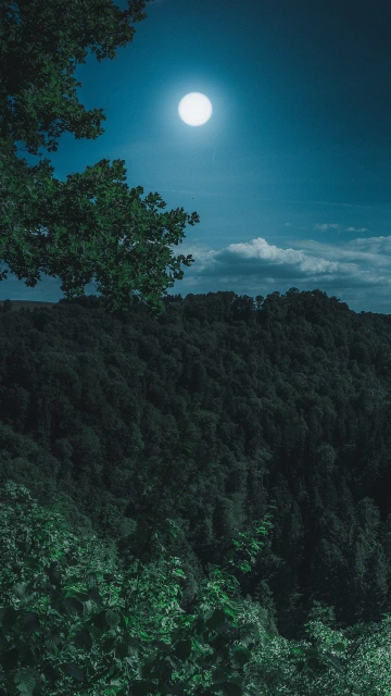 Forest Mountains Moon