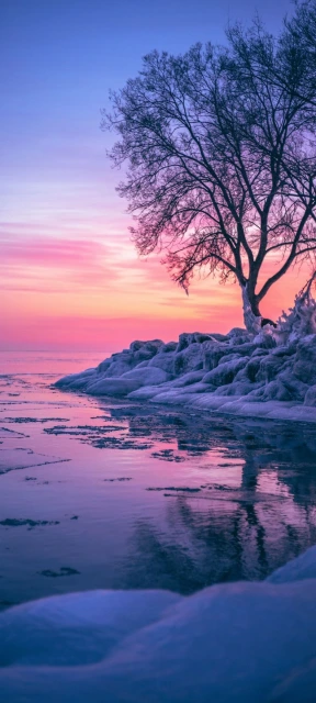 Frozen Lakeshore Sunset