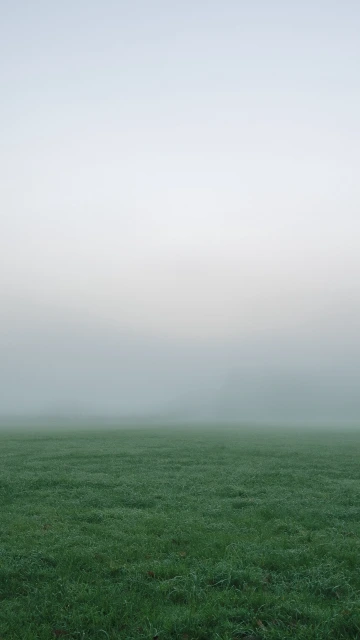 Grass Fog Thick