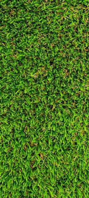 Green Grass View Wallpaper