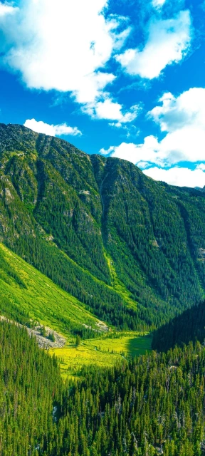 Green Mountains Wallpaper