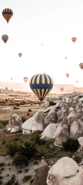 Hot Air Balloons Over Rocky Landscape
