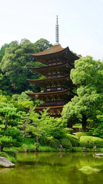 Japan Yamaguchi Pond Trees
