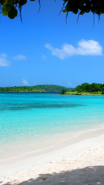 Maldives Tropical Beach Sand Summer
