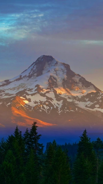 Mountain Peak Trees