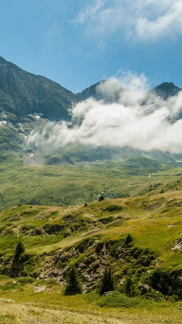 Mountains Fog Grass