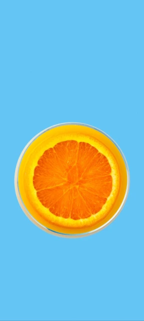 Orange Slice in Glass