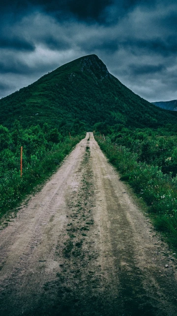 Path Mountain Green Grass