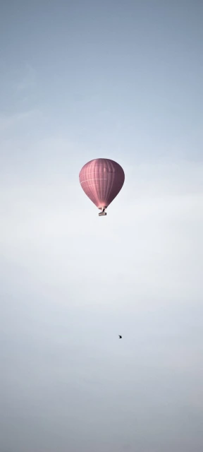 Pink Hot Air Balloon Sky