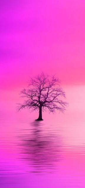 Pink Sky Tree Reflection