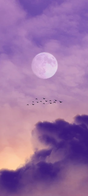 Purple Moon and Birds in Sky
