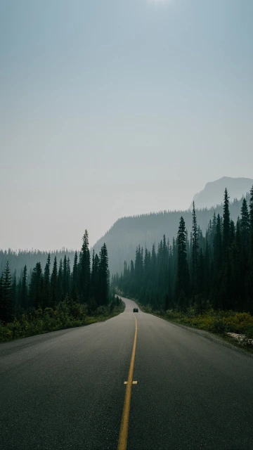 Road Marking Fog Mountains Movement