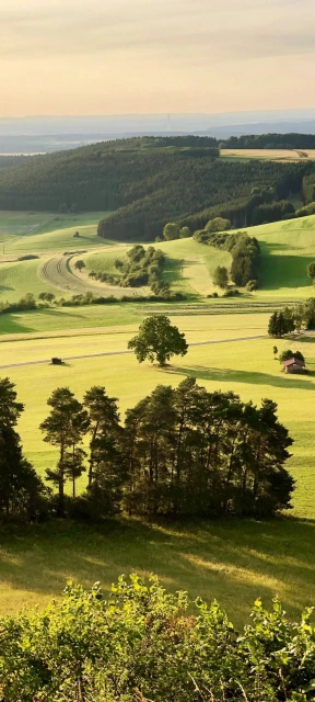 Rolling Green Hills and Trees