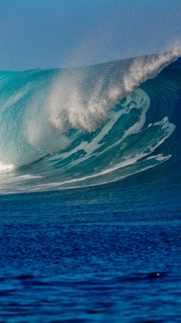 Sea Wave Beautifully