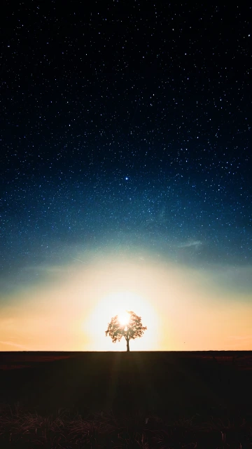 Starry Sky Tree Alone