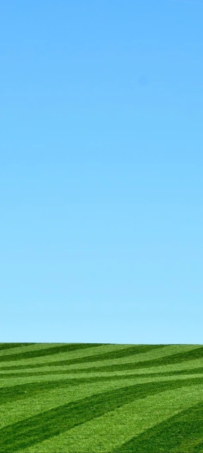 Striped Green Field Blue Sky