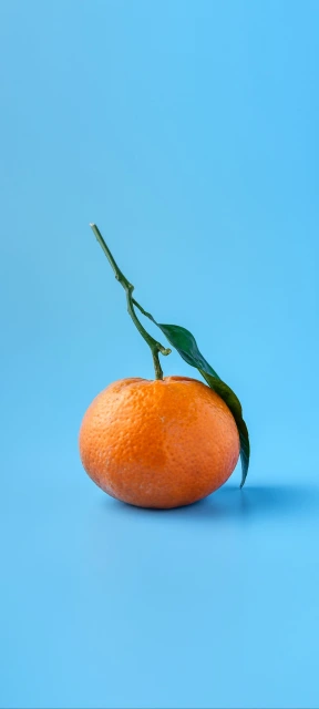 Tangerine With Stem and Leaf
