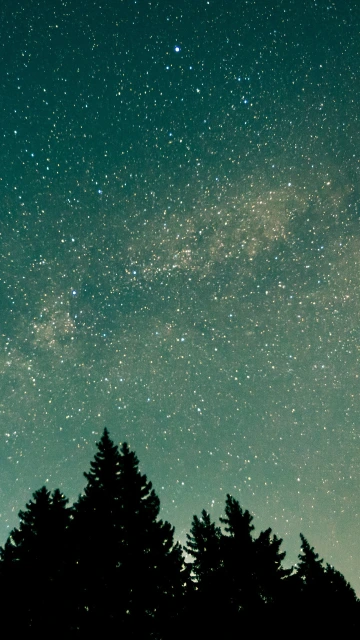 Trees Starry Sky Stars Space