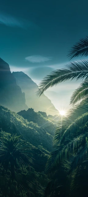 Tropical Mountains With Palm Fronds