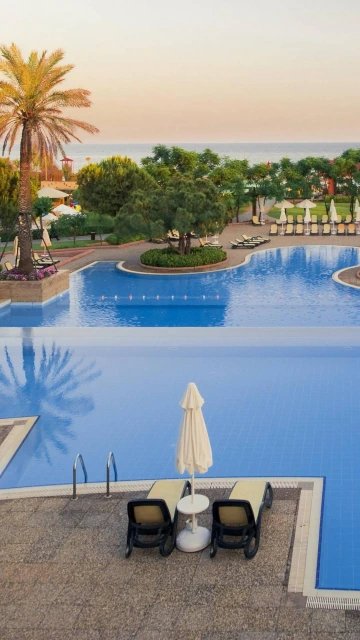 Tropical Resort Palm Trees Swimming Pool
