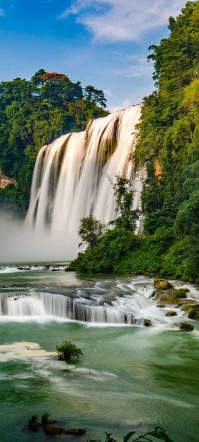 Waterfall in Lush Green Forest