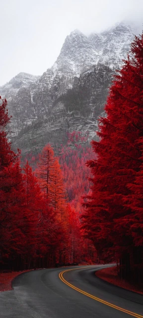Winding Road Through Red Trees and Snowy Mountain